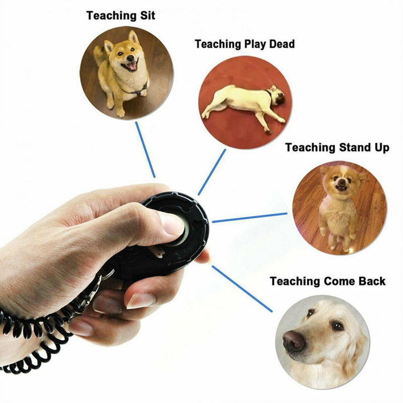 Clicker d'entraînement pour chien avec bracelet ajustable