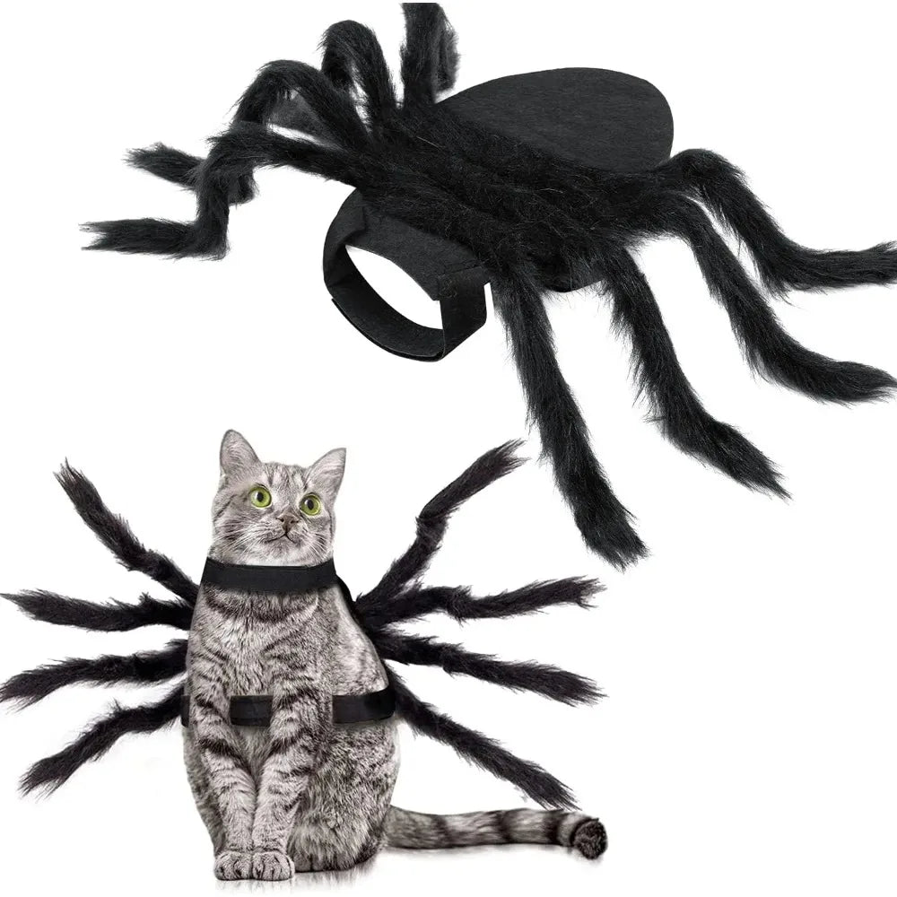 Halloween Spider Costume for Small Dogs and Cats