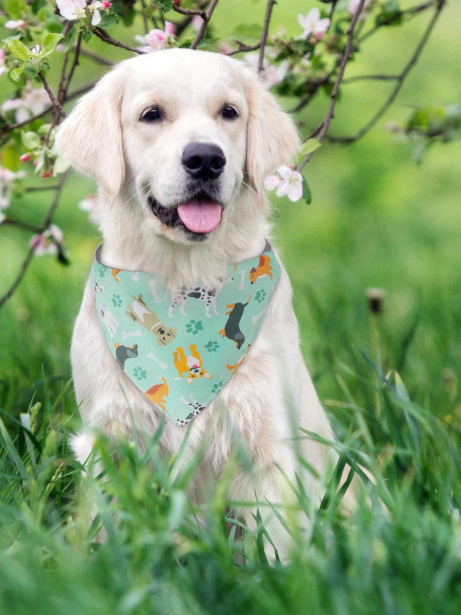 A light-colored Labrador dog wearing a green patterned cotton bandana outdoors.