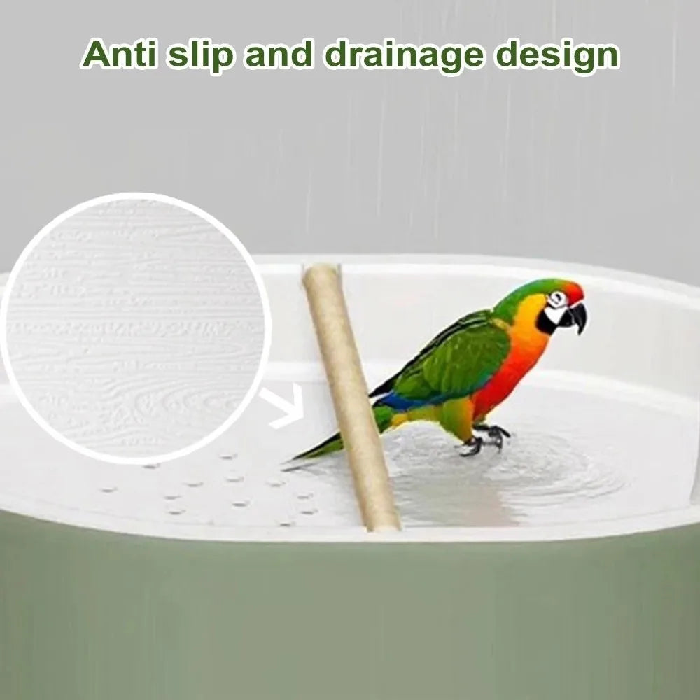 Automatic Circulating Bird Bath with Perch
