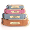 Personalisiertes Leder-Hundehalsband mit graviertem ID-Tag
