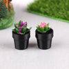 Set of 5 Miniature Potted Plants for Dollhouse Scenes