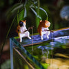 Décoration Aquarium Chat Pêcheur