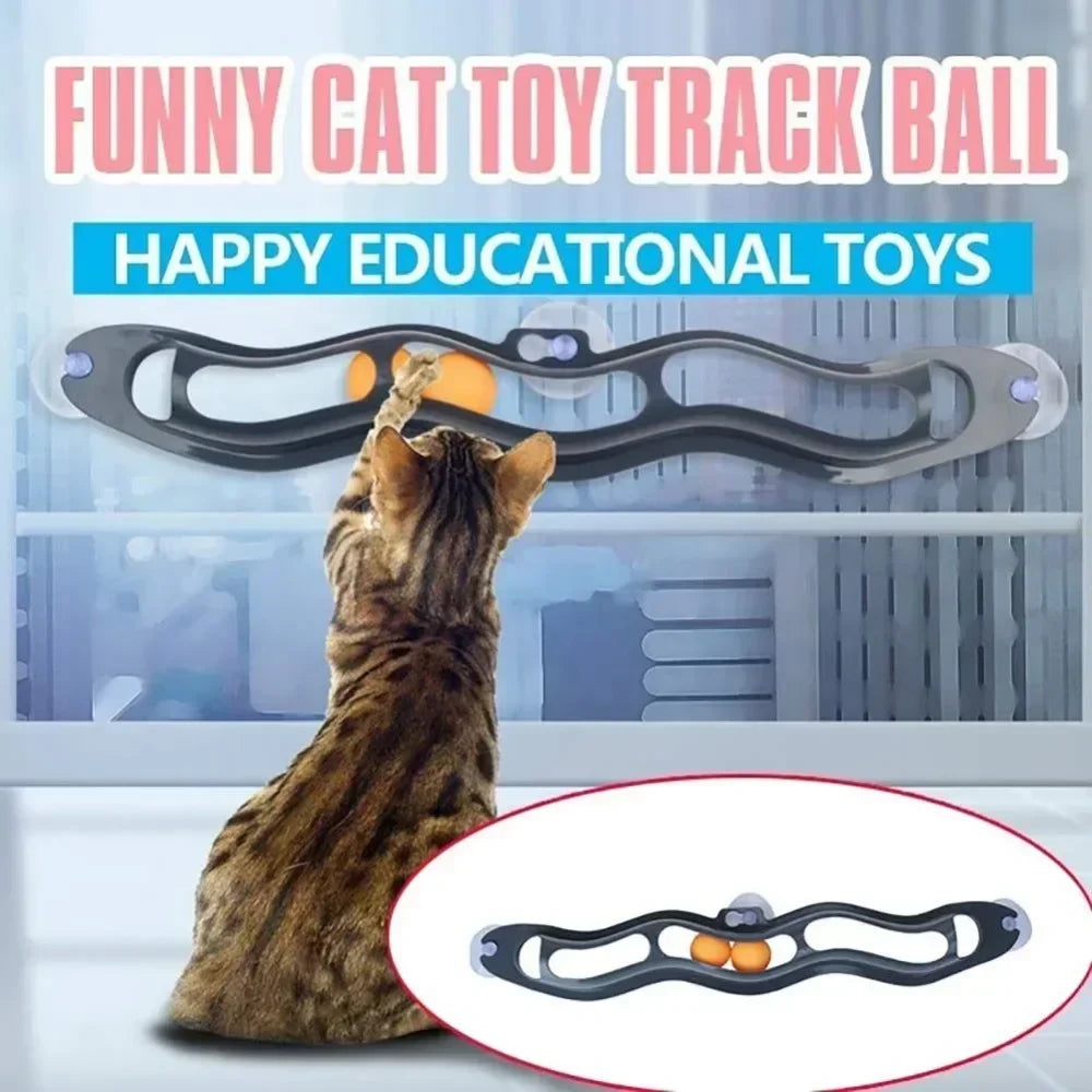 Un chat tigré joue avec un jouet balle à piste incurvée noire doté de ventouses.