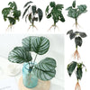 Artificial Hydroponic Plant with Visible Roots – Lifelike Greenery for Home & Event Decor