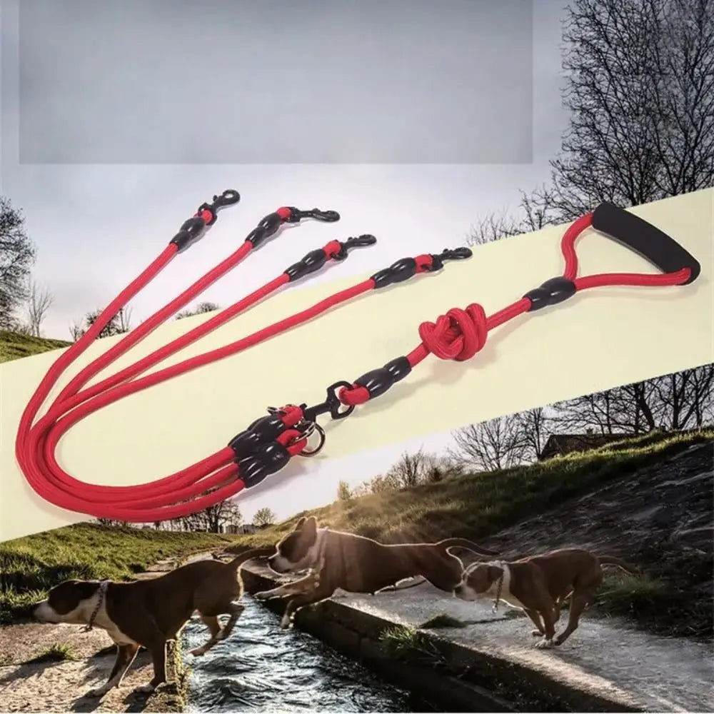 A red and black 2-way dual dog leash coupler is shown with two dogs near a stream.
