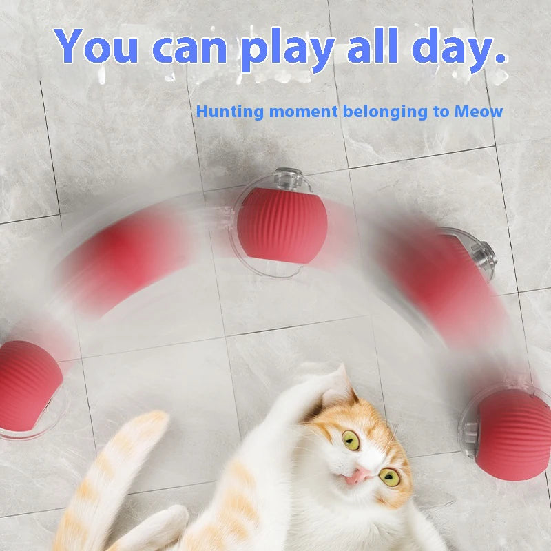 Orange und weiße Katze spielt mit einem interaktiven Rollspielzeug, das Vogelgeräusche abgibt.