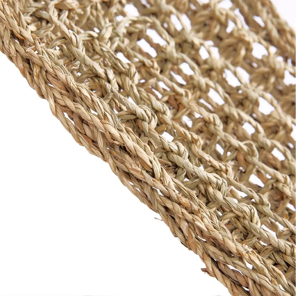 Natural Seaweed Reptile Hammock with Suction Cups