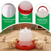 Automatic Poultry Feeder and Waterer Set