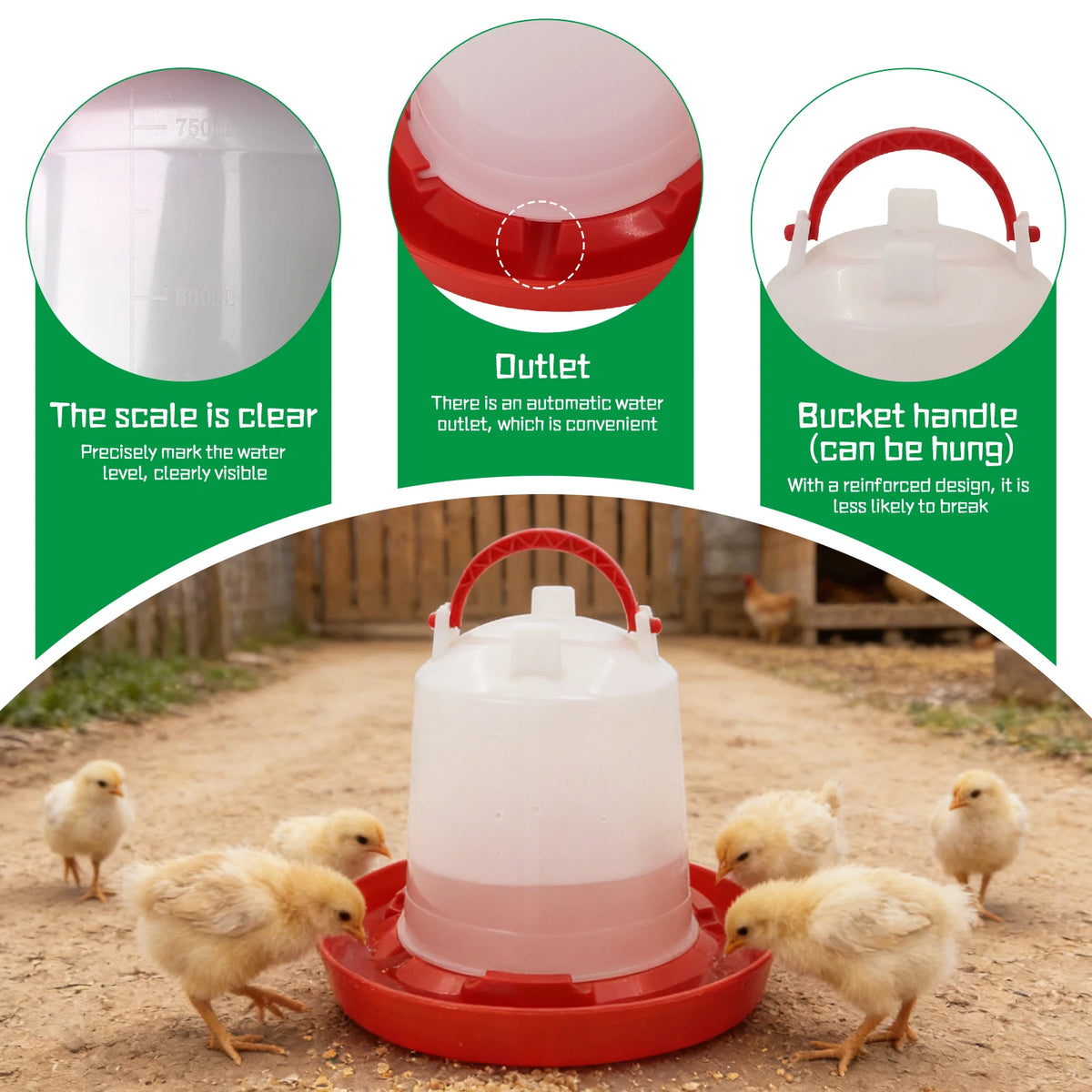 Automatic Poultry Feeder and Waterer Set