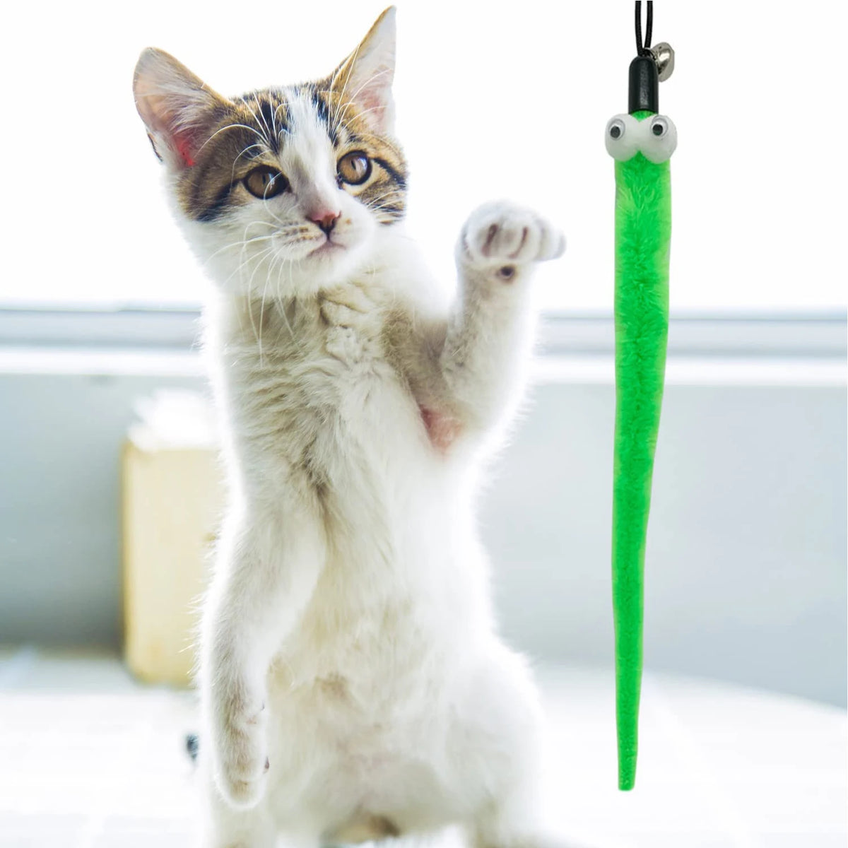A white and brown tabby kitten is holding a green feather worm toy wand.