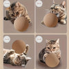 A tabby cat is shown interacting with a natural sisal toy ball, demonstrating chase, bite, hold, and grab actions.