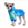 Un petit chien portant un sweat à capuche en polaire tie-dye bleu et vert.