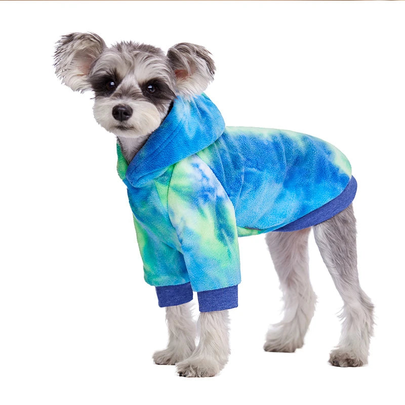 Un petit chien portant un sweat à capuche en polaire tie-dye bleu et vert.