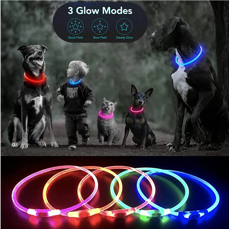 A collection of glowing LED dog collars demonstrating three glow modes: Quick Flash, Slow Flash, and Steady Glow.
