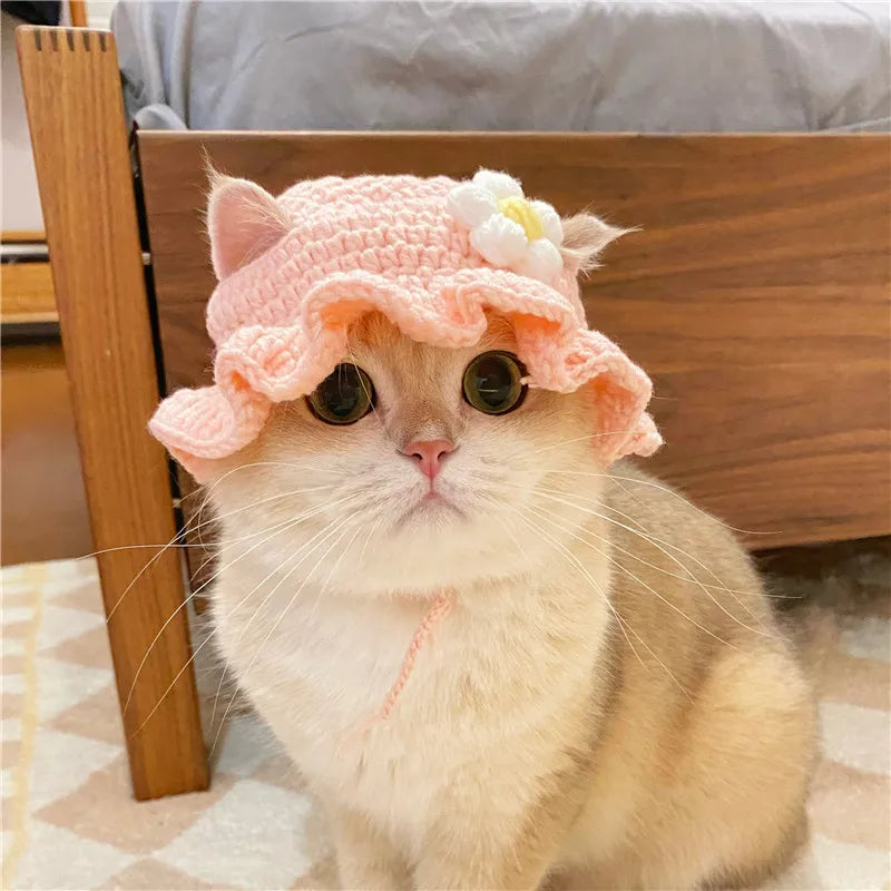 Un chat crème et duveteux portant un bonnet tricoté rose avec des fleurs blanches, assis devant un cadre en bois.