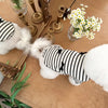 Striped Bow Accent Dog Dress with Flutter Sleeves for Small Breeds