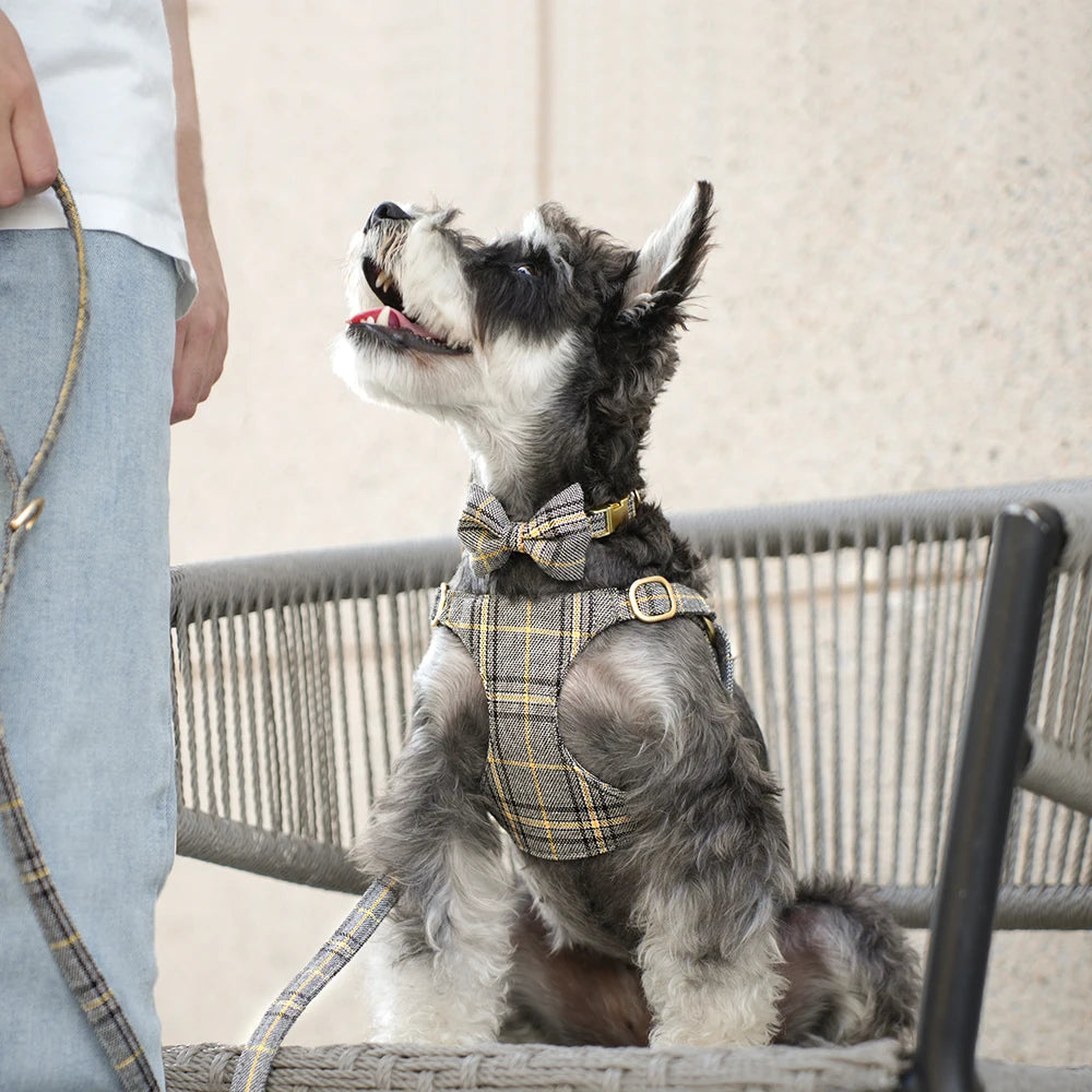 Classic Plaid Dog Collar, Harness & Leash Set with Bowtie