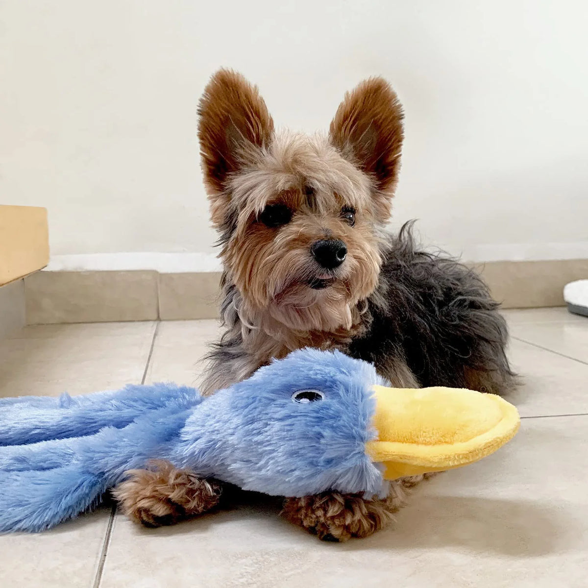 Squeaky Duck Plush Toy for Dogs and Cats