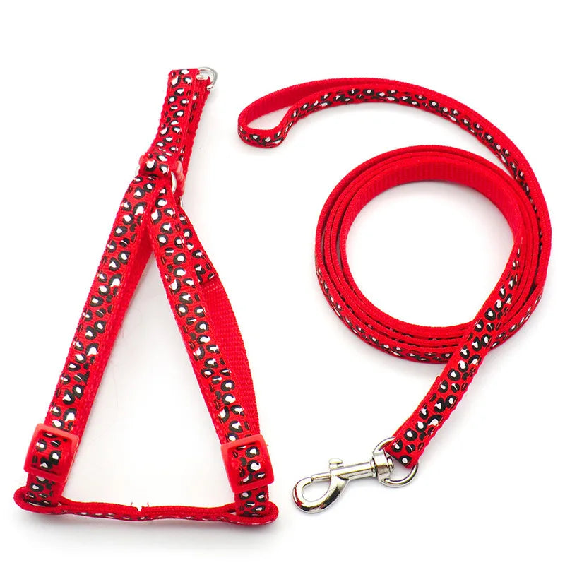 Red adjustable dog harness with a leash and clip for walking small pets