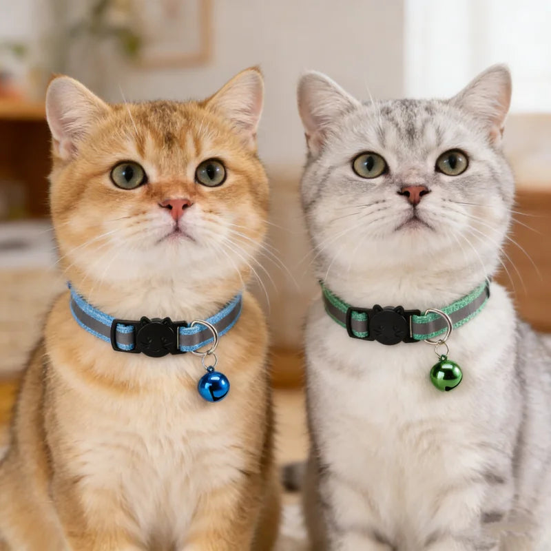 Two domestic cats wearing reflective pet collars with bells, one orange and one gray.