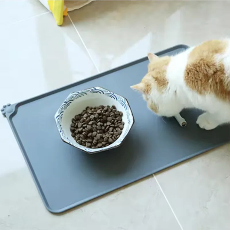 A cat is eating dry food from a ceramic bowl placed on a gray silicone pet feeding mat.