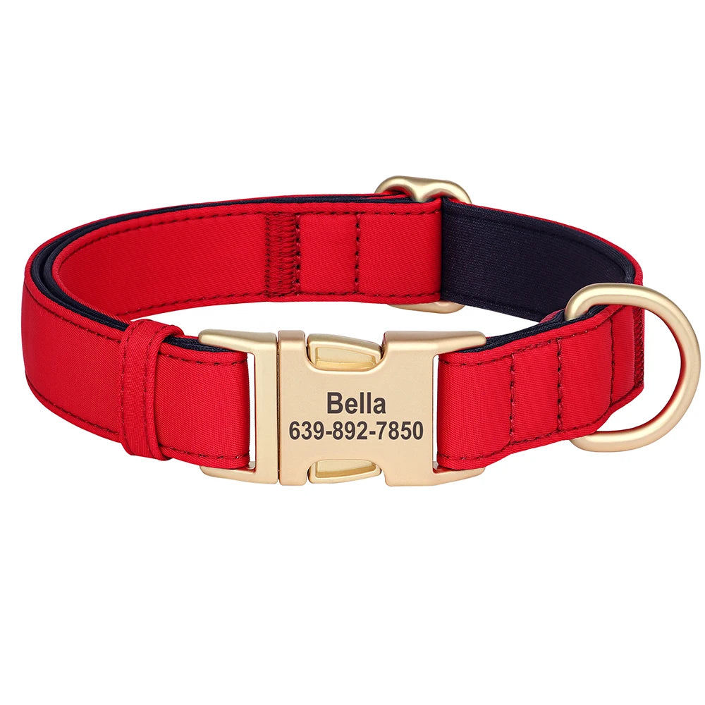 Red and navy padded dog collar with a gold buckle and custom ID engraving