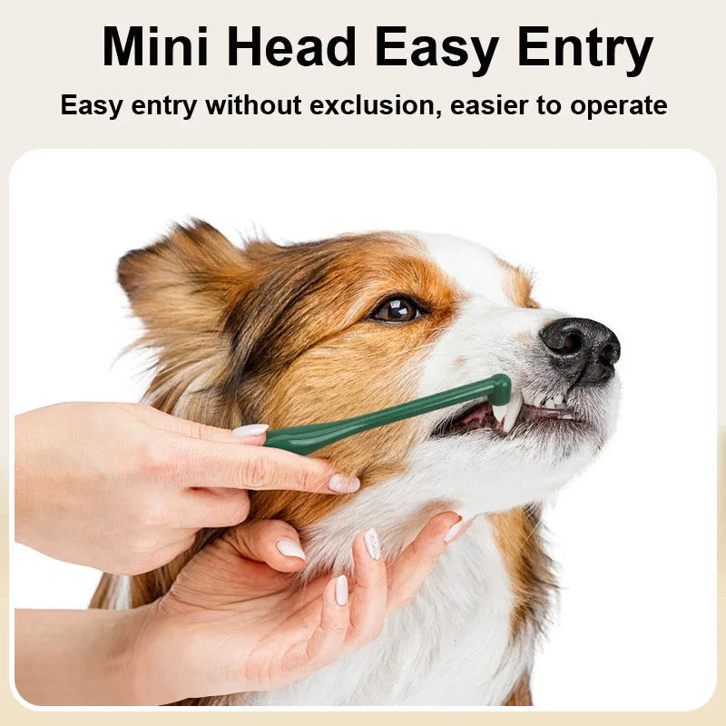 Soft Bristle Pet Toothbrush for Small Dogs and Cats