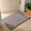 Absorbent Microfiber Dog Doormat