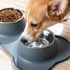 Cuenco para Mascotas de Acero Inoxidable con Base Antideslizante
