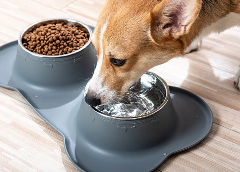 Cuenco para Mascotas de Acero Inoxidable con Base Antideslizante