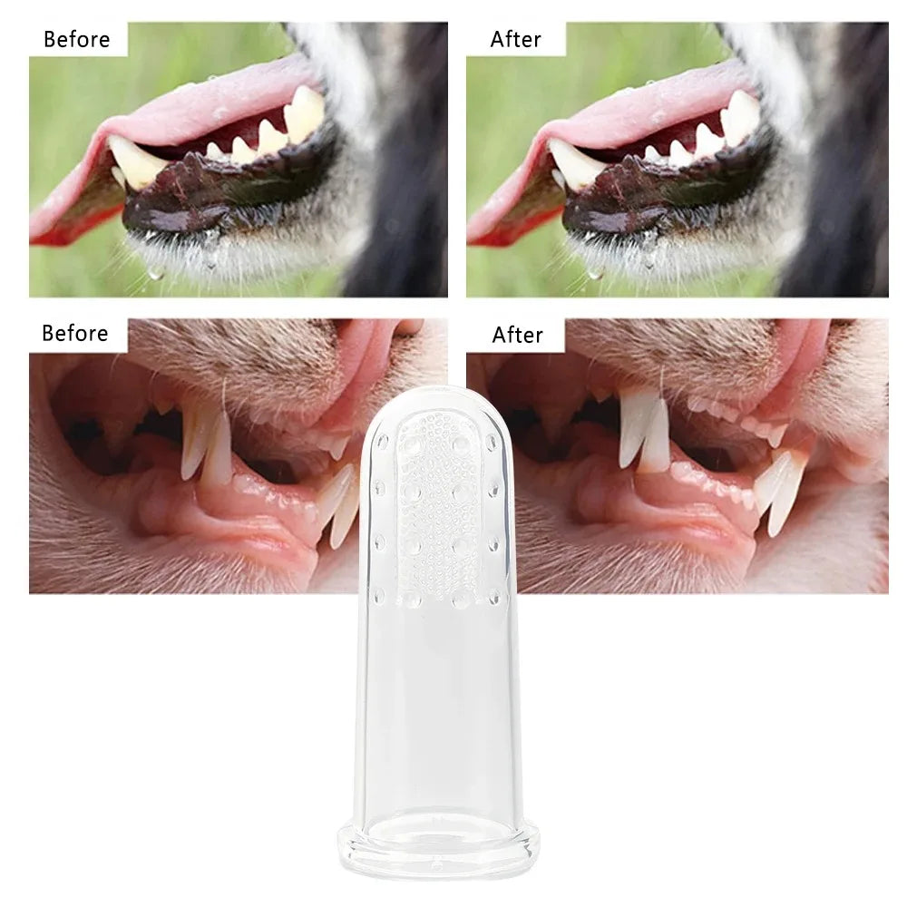 Before and after images showing a silicone fingertip pet toothbrush used for dental cleaning.
