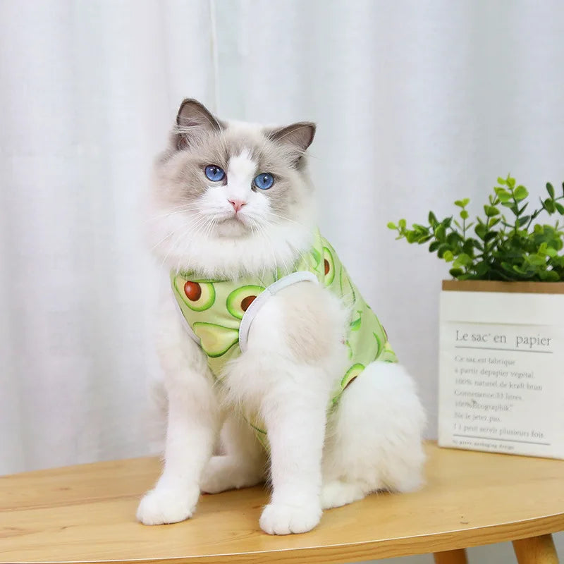 Cat Recovery Vest – Soft Anti-Licking Protector for Post-Surgery Care