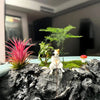 Décoration Aquarium Chat Pêcheur