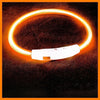USB-aufladbarer LED-Hundehalsband