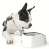 Spill-Resistant Slow Water Feeder Bowl for Dogs