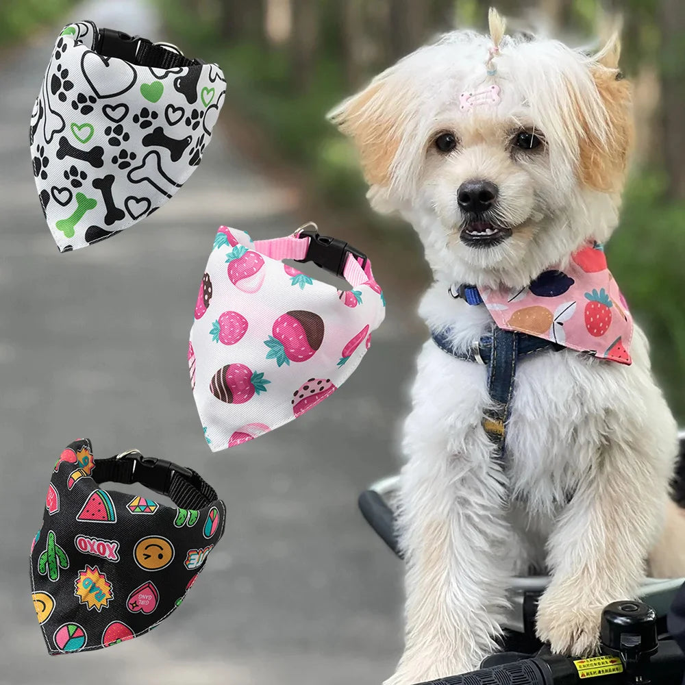 A fluffy white dog wearing a pink and green printed pet collar with a matching bandana.