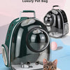 A luxury pet bag featuring a panoramic front window, shown with a kitten resting nearby.