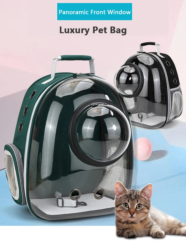 A luxury pet bag featuring a panoramic front window, shown with a kitten resting nearby.