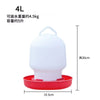 Automatic Chicken Feeder and Waterer Fountain