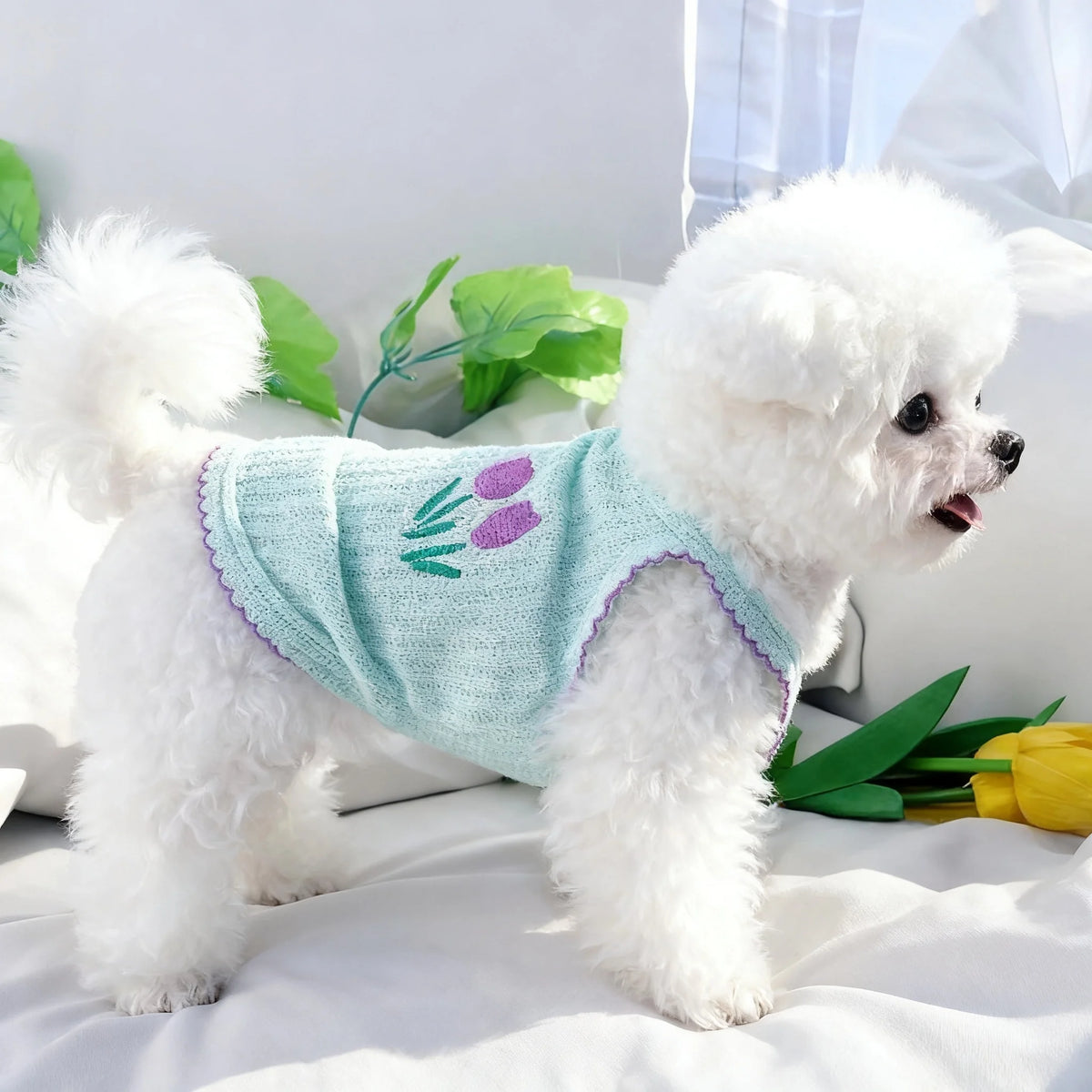 Un perro blanco esponjoso con un collar de osito delgado azul claro, acostado sobre tela blanca.