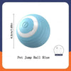 A light blue, smooth ball designed for pets, shown from above.