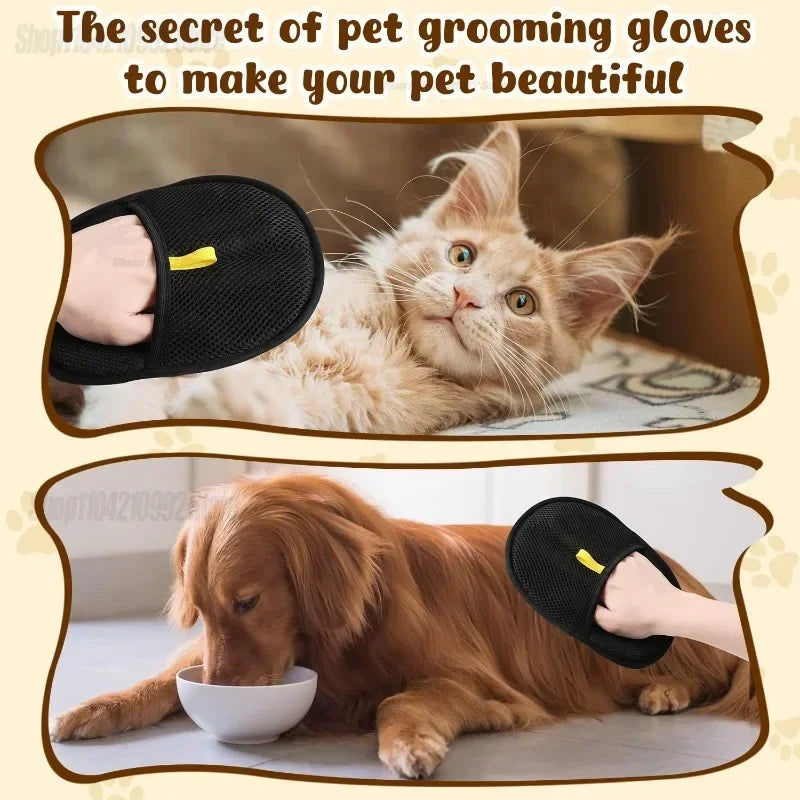 Eine Katze und ein Hund benutzen Pflegehandschuhe, um ihre Haustiere zu pflegen.
