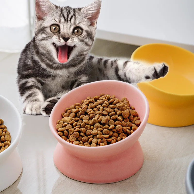 A kitten looks at a pink ceramic cat bowl filled with dry food on a light surface.
