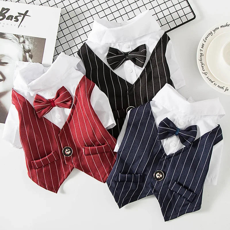 A collection of elegant striped tuxedo pet outfits for dogs and cats, featuring red, navy, and white patterns.