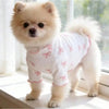 Un chien léger de couleur crème et duveteux portant un pull tricoté rose avec un nœud papillon, debout à l'intérieur.