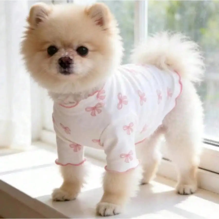 Un chien léger de couleur crème et duveteux portant un pull tricoté rose avec un nœud papillon, debout à l'intérieur.