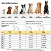 Pet Cooling Full-Body Suit for Summer Heat Relief