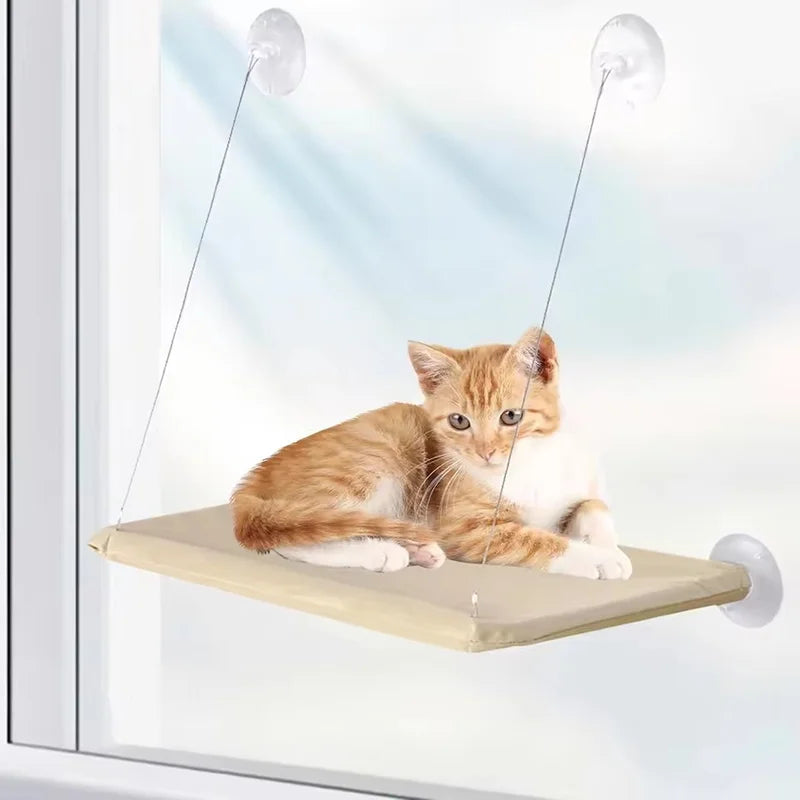 Un petit chat orange et blanc se repose sur un lit-hamac de fenêtre à ventouse installé dans une fenêtre.