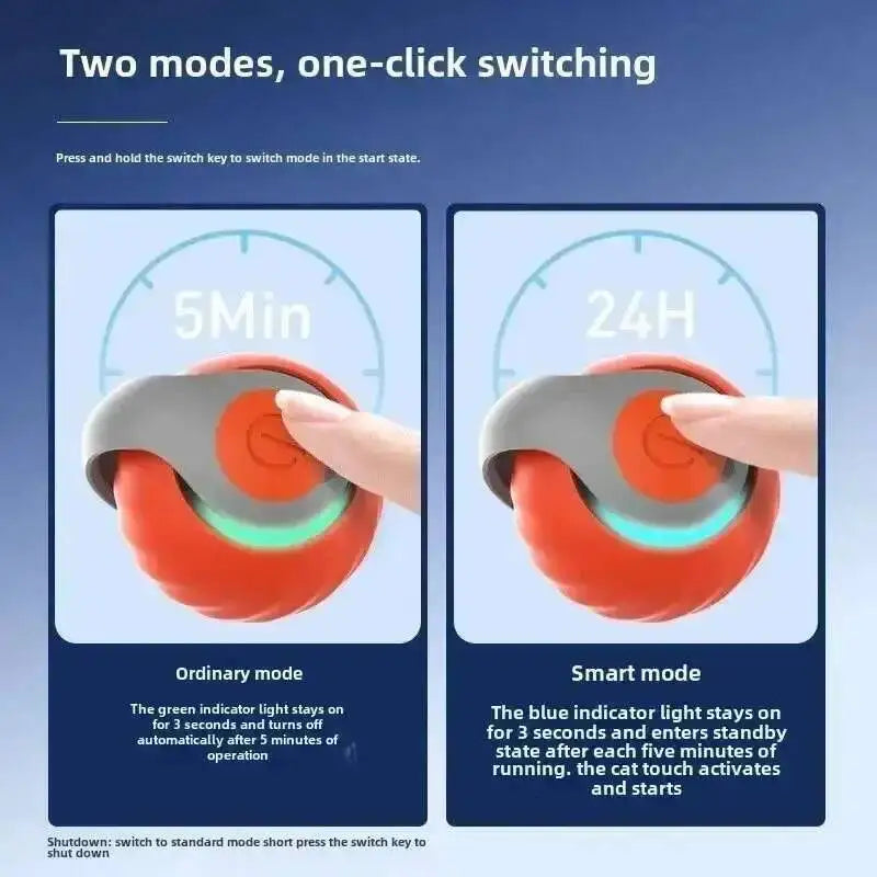 Diagram showing two modes of operation for a cat toy: 5Min and 24H settings.